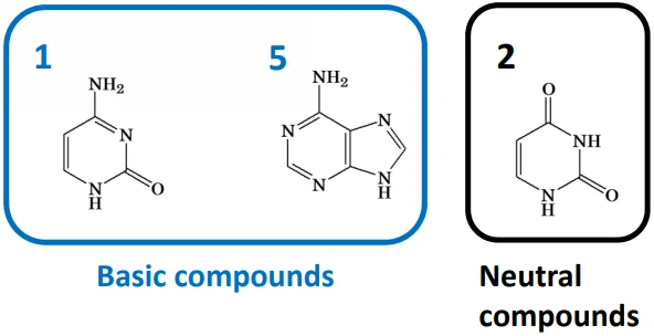 InertSustain AX-C18 Anion Exchange Column HPLC Columns compounds 2